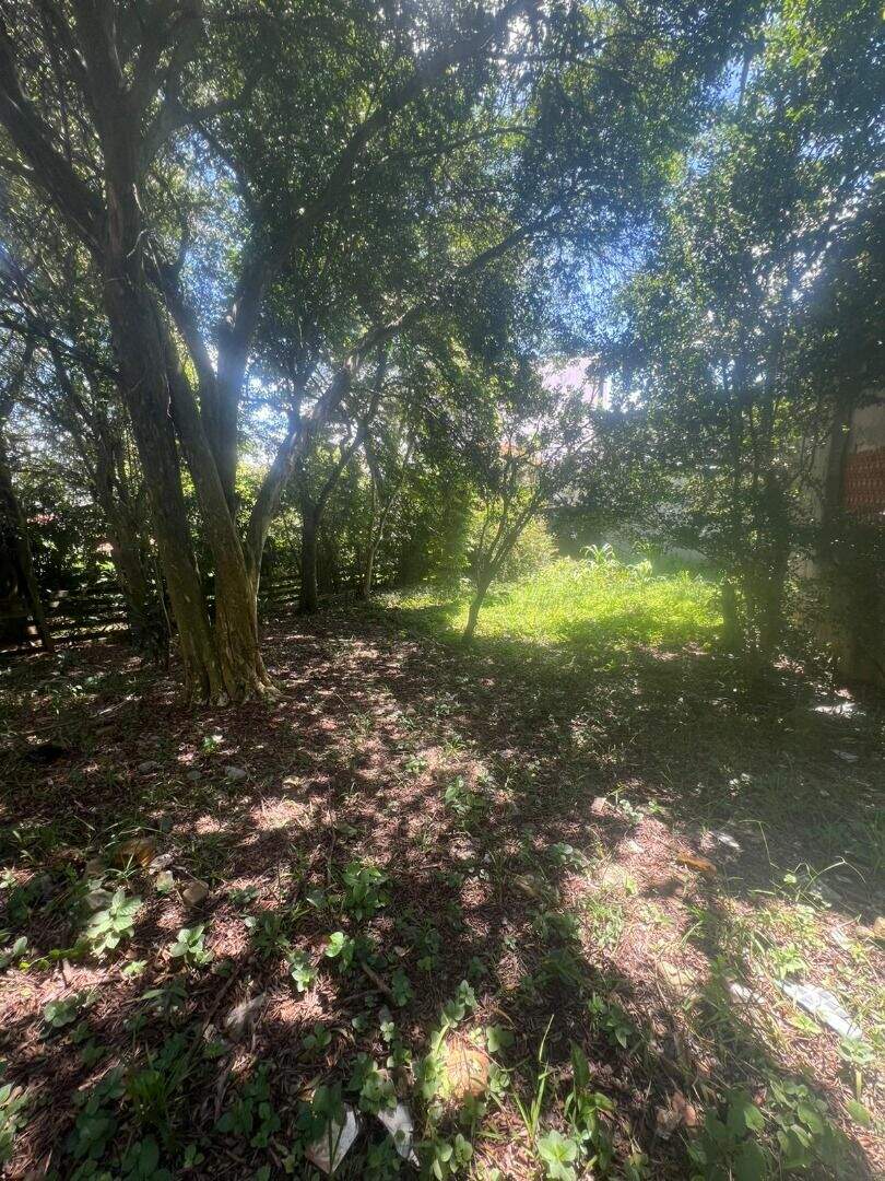 Terreno à venda no Vila Bocaina: 