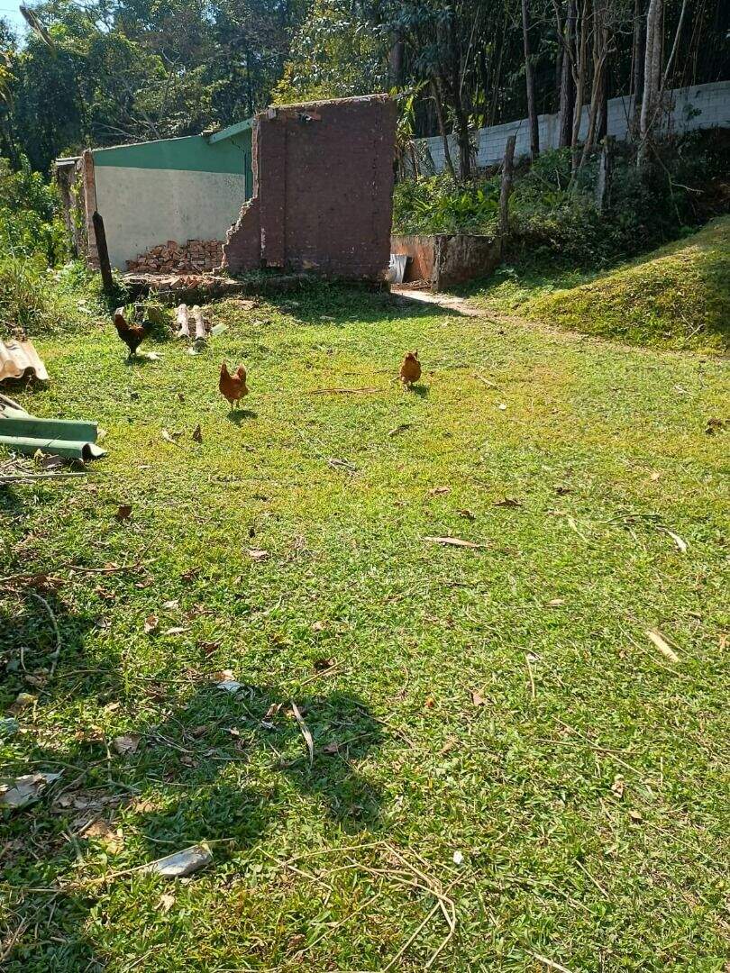 Terreno à venda no Santa Luzia: 