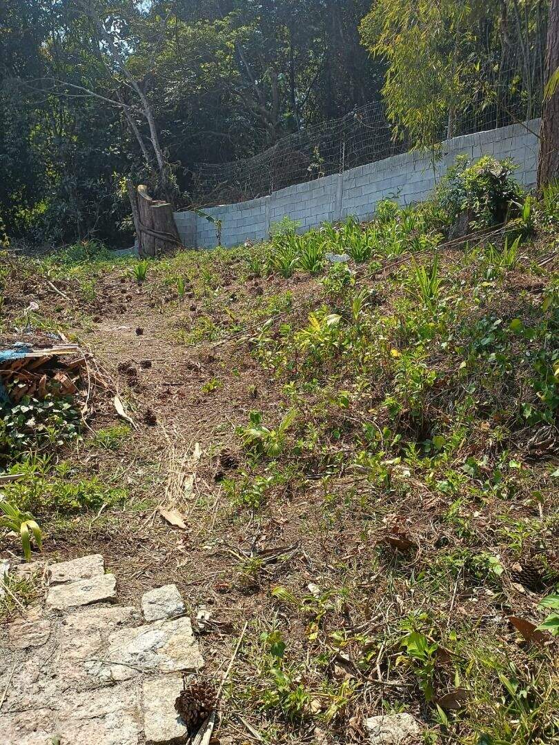 Terreno à venda no Santa Luzia: 