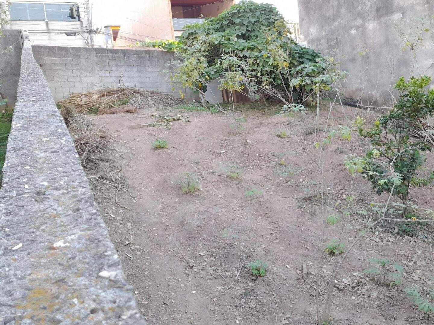Terreno à venda no Vila Nova Mauá: 