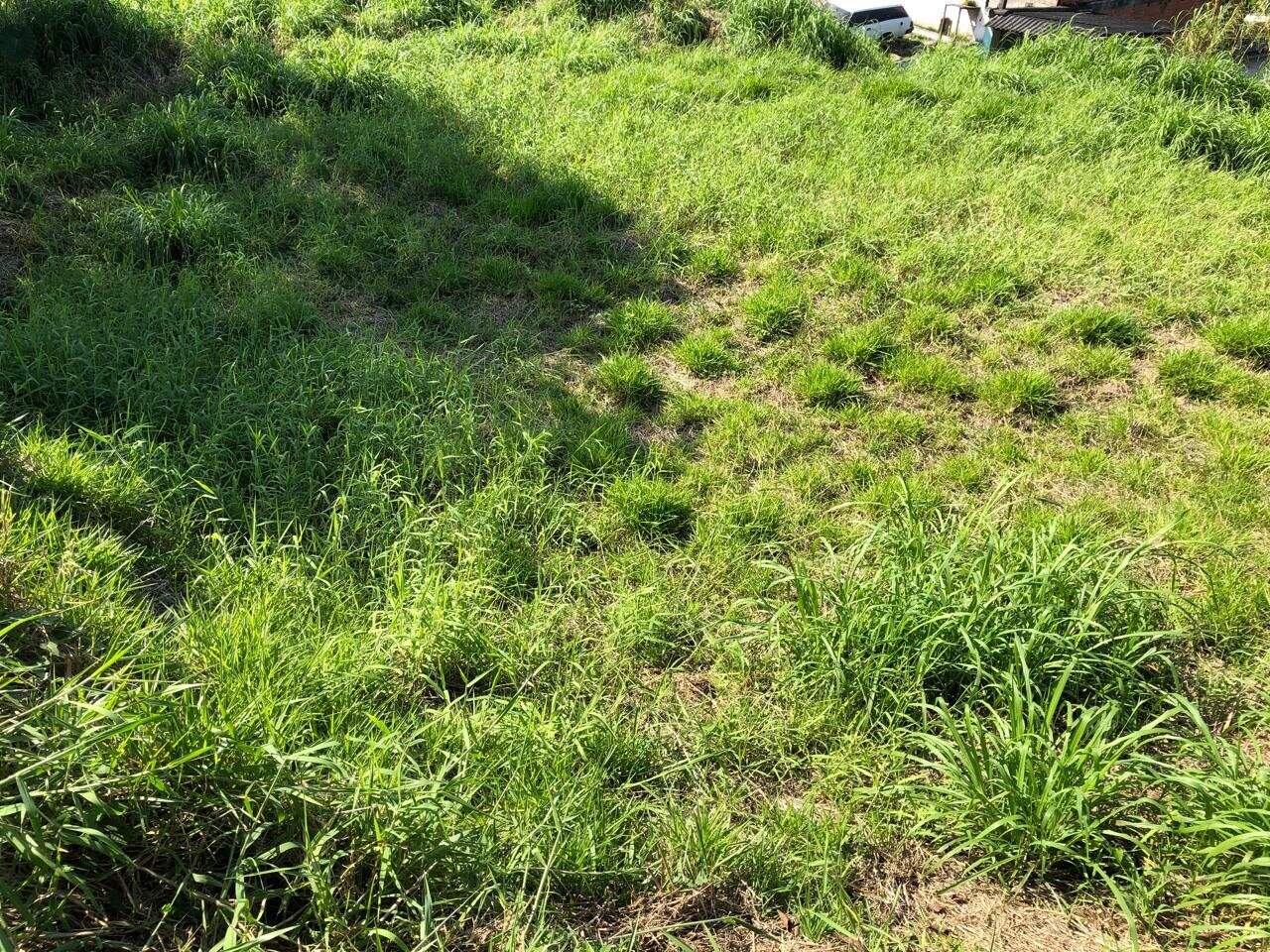 Terreno à venda no Vila Moderna (Santa Luzia): 