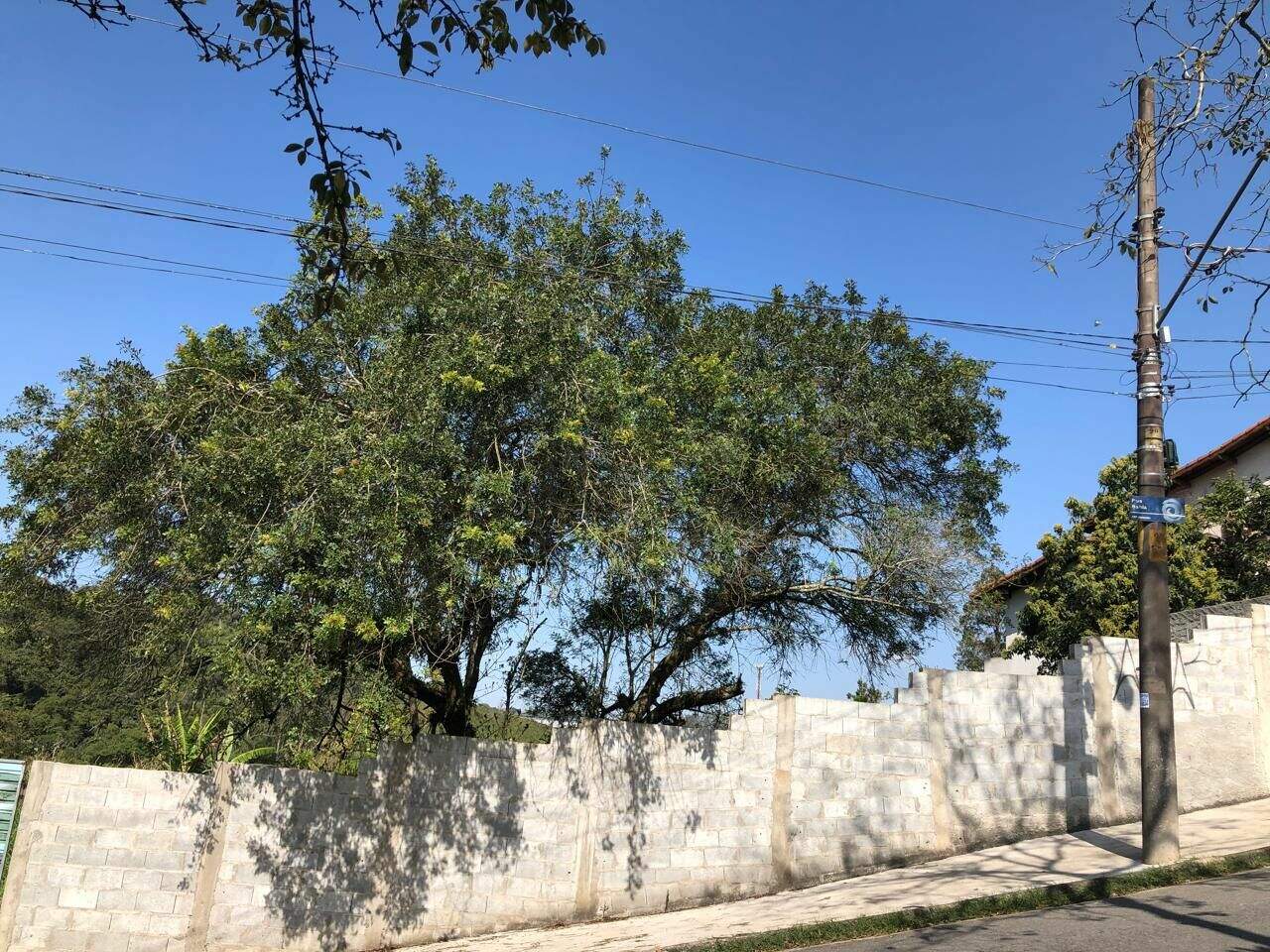 Terreno à venda no Vila Moderna (Santa Luzia): 