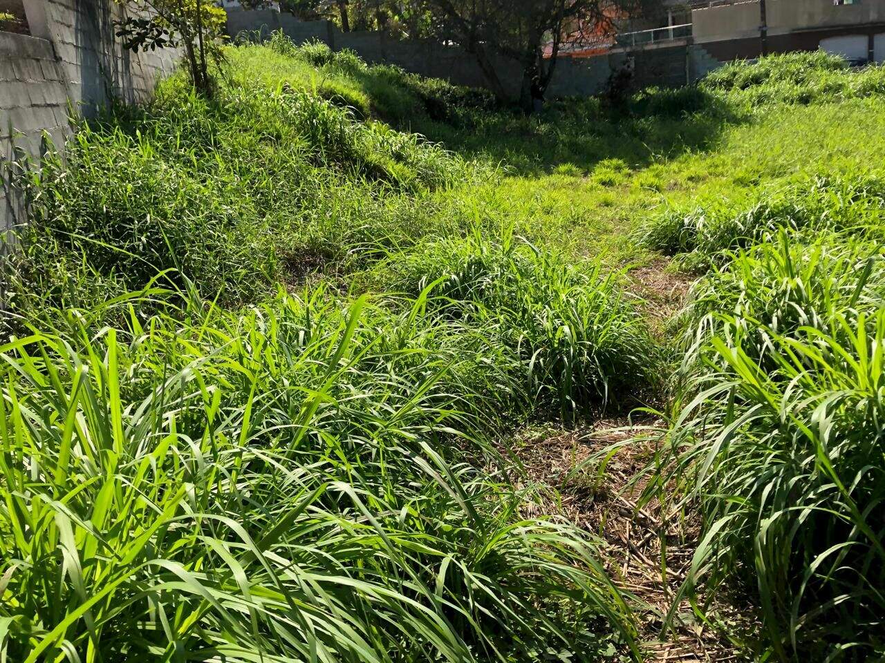 Terreno à venda no Vila Moderna (Santa Luzia): 