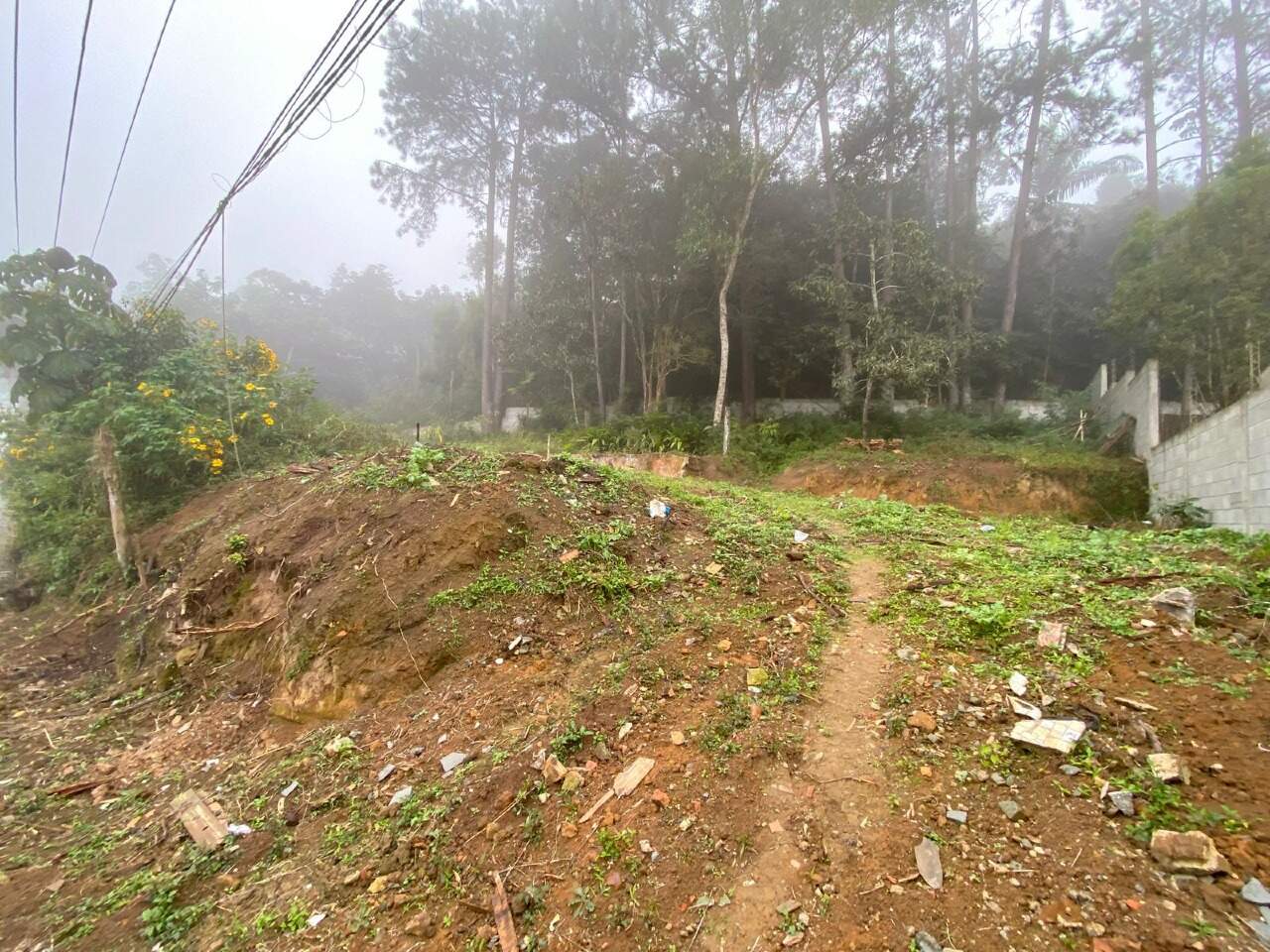 Terreno à venda no Colônia: 