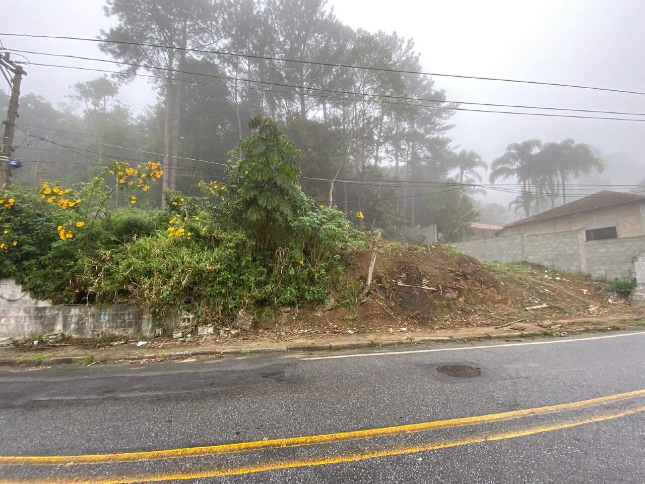 Terreno à venda no Colônia: 