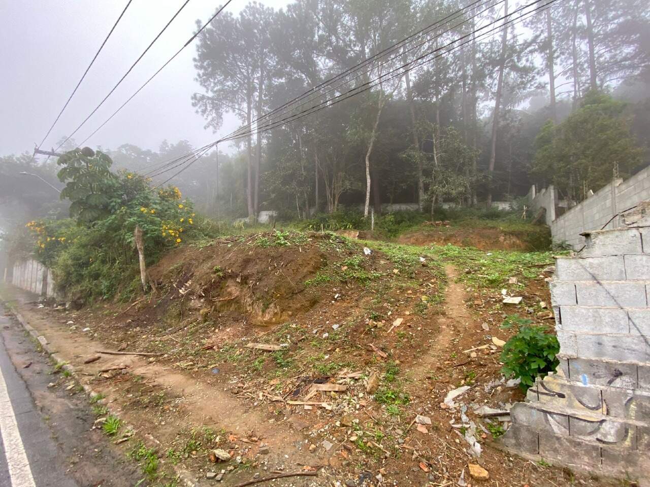 Terreno à venda no Colônia: 