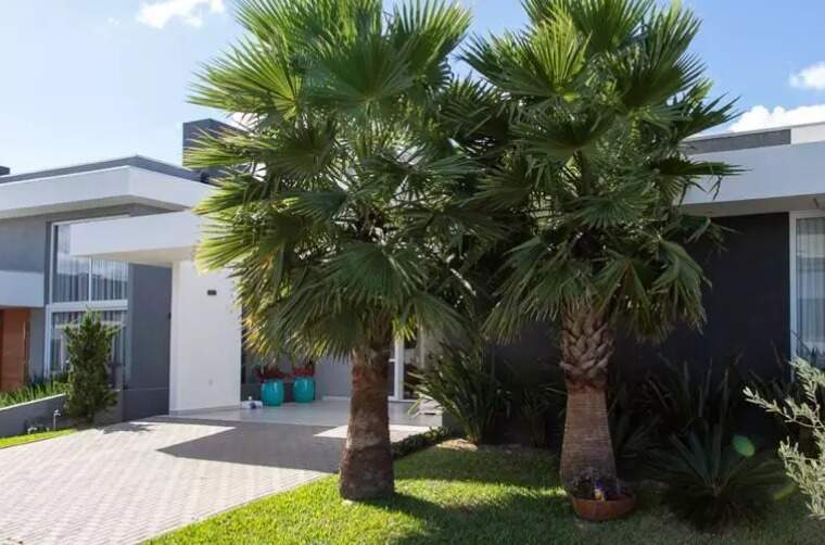 Casa em Condomínio à venda no Dubai Resort : 
