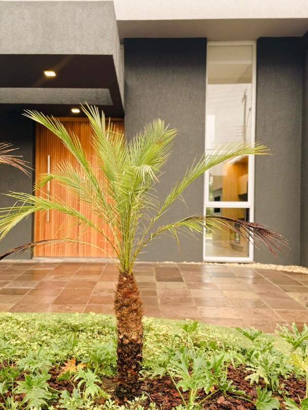 Casa em Condomínio à venda no Velas da Marina: 