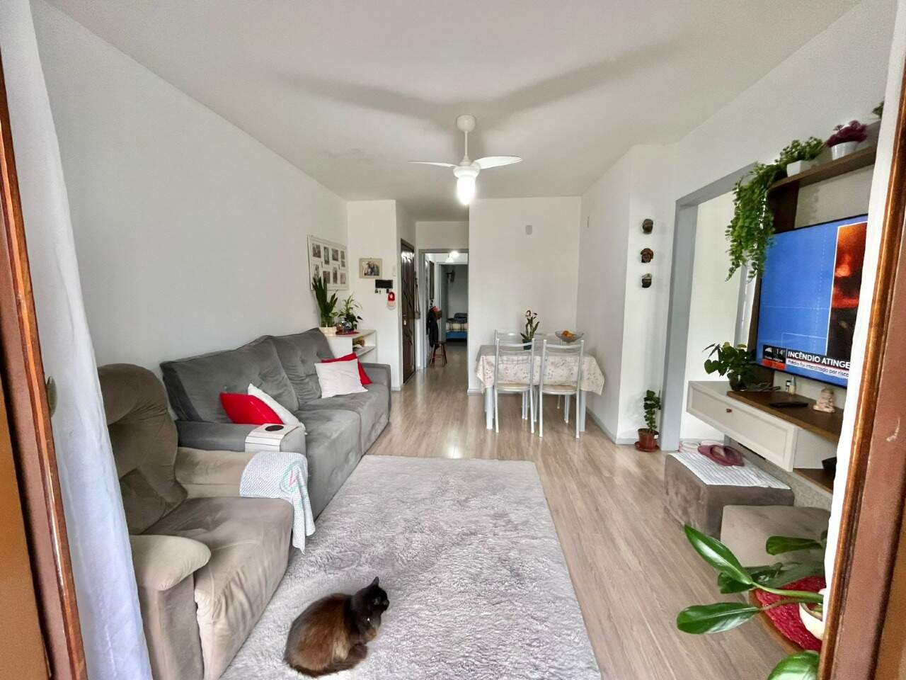 Apartamento à venda no Centro: 