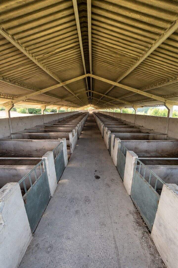 Galpão para aluguel no Pinhão: 