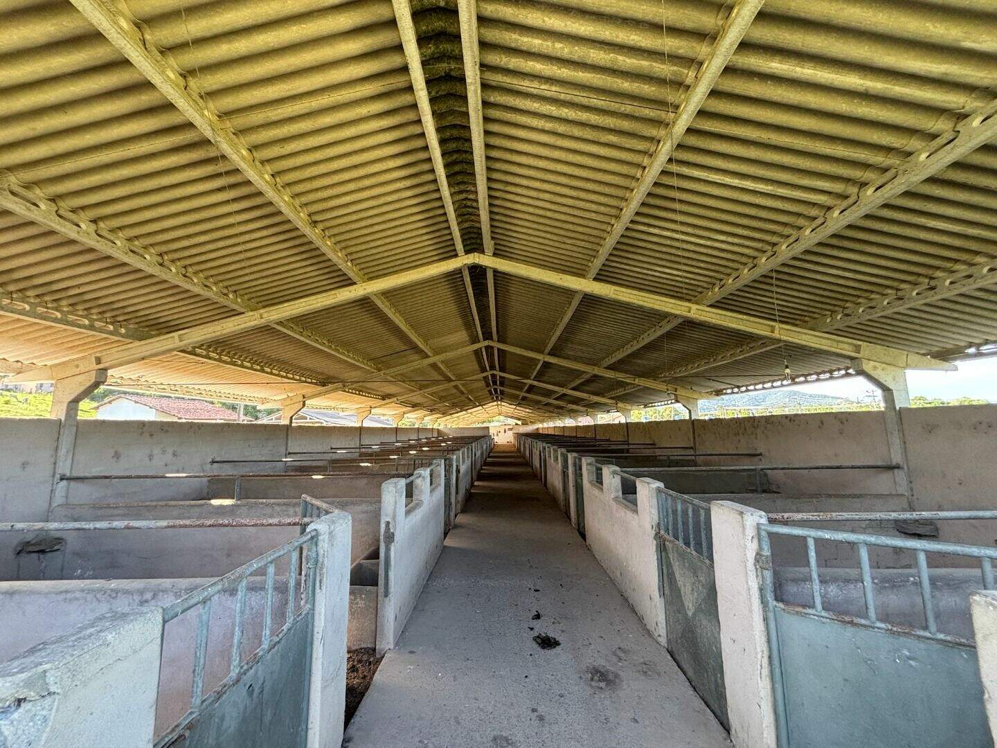 Galpão para aluguel no Pinhão: 