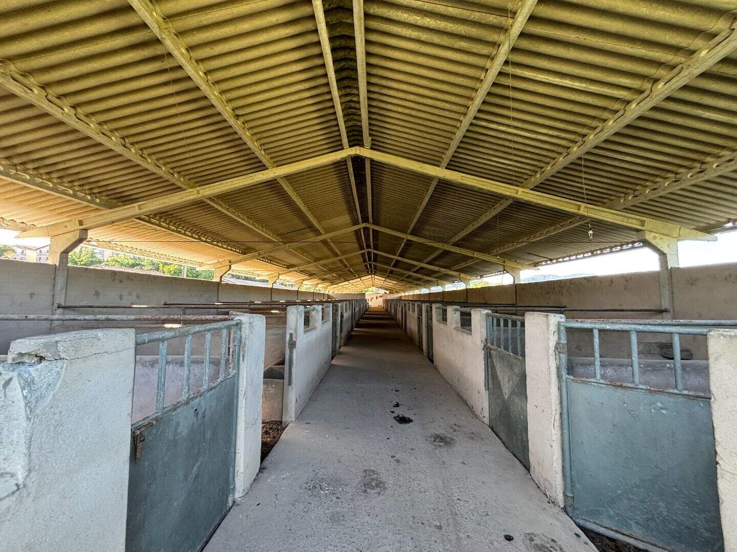 Galpão para aluguel no Pinhão: 