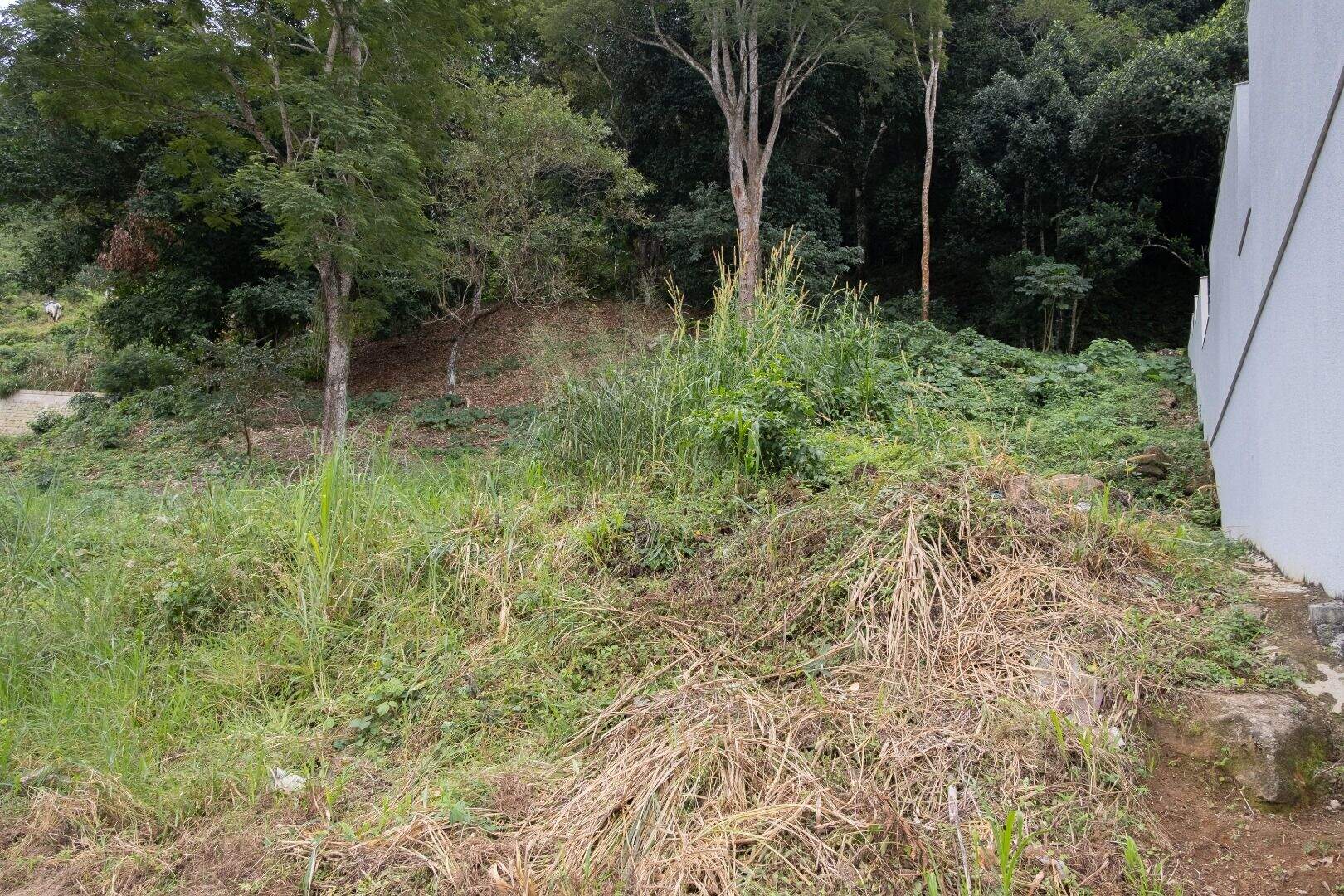 Terreno à venda no Jacuba: 