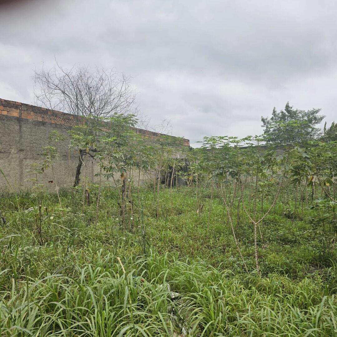 Terreno à venda no Bazílio: 