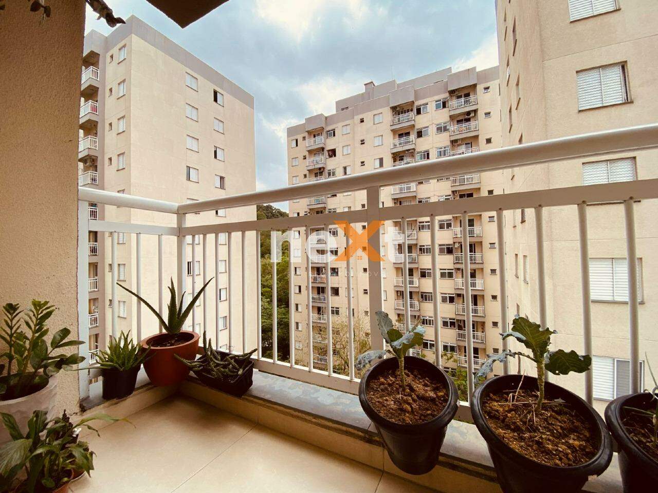 Apartamento à venda no Morro Nova Cintra: 