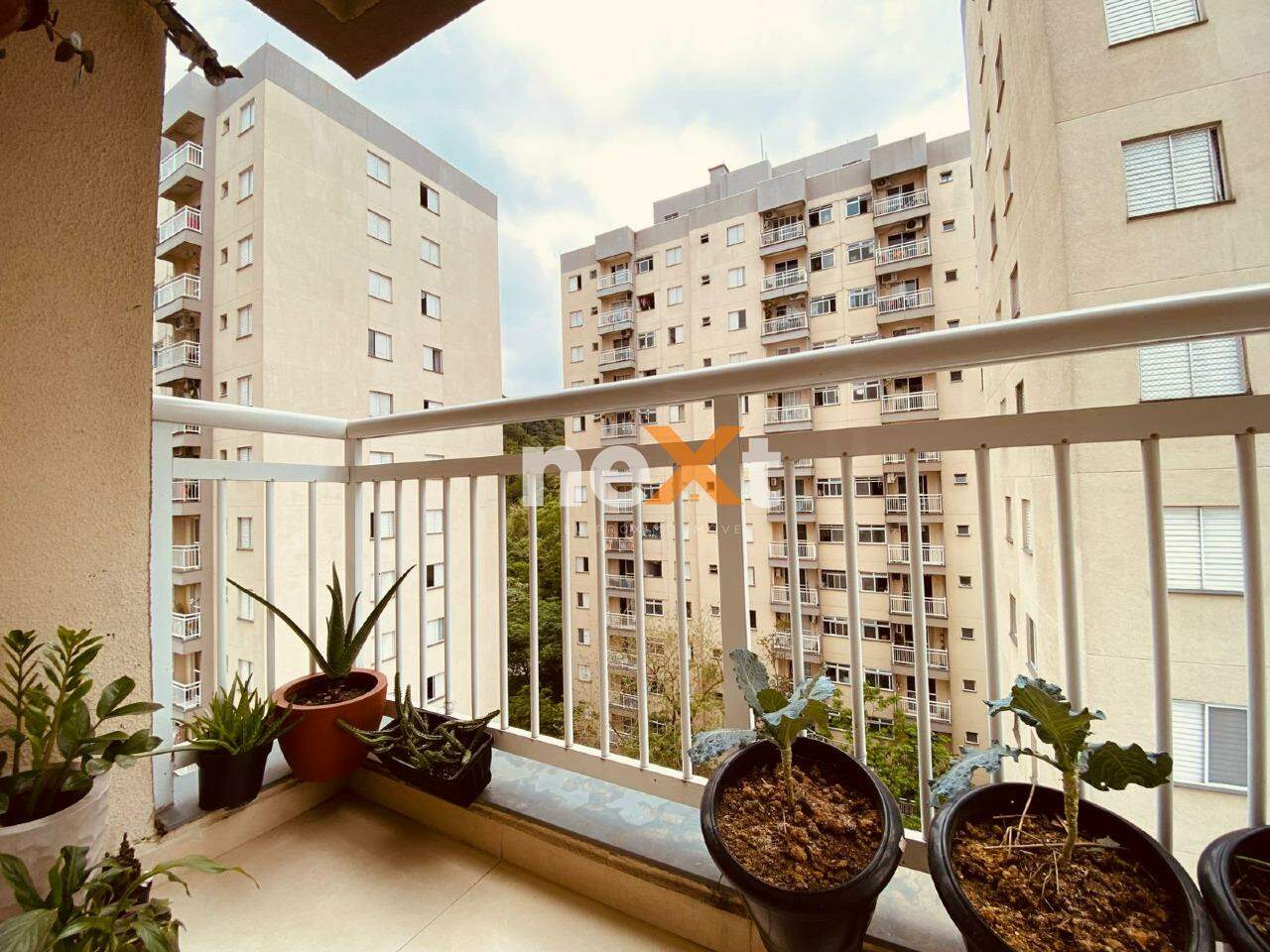 Apartamento à venda no Morro Nova Cintra: 