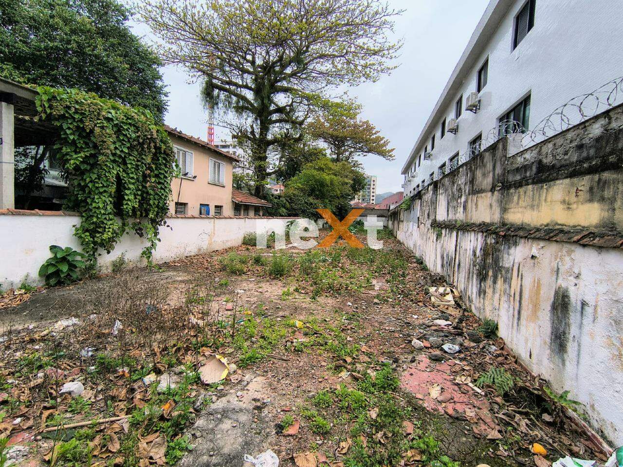Terreno à venda no Campo Grande: 
