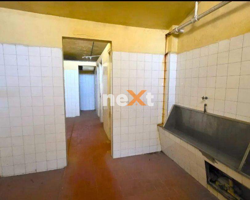 Terreno para aluguel no Paquetá: 