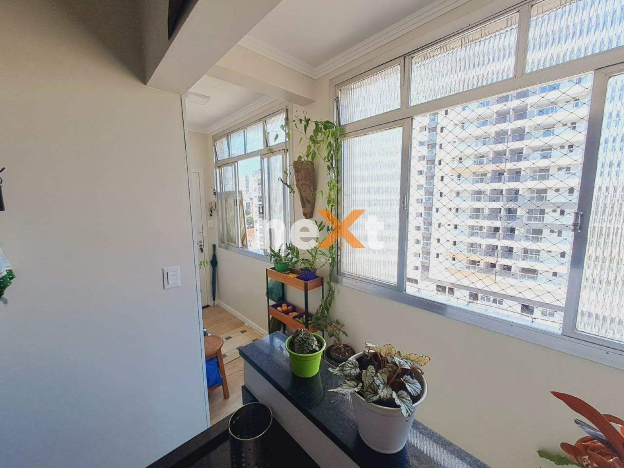 Apartamento à venda no Gonzaga: 