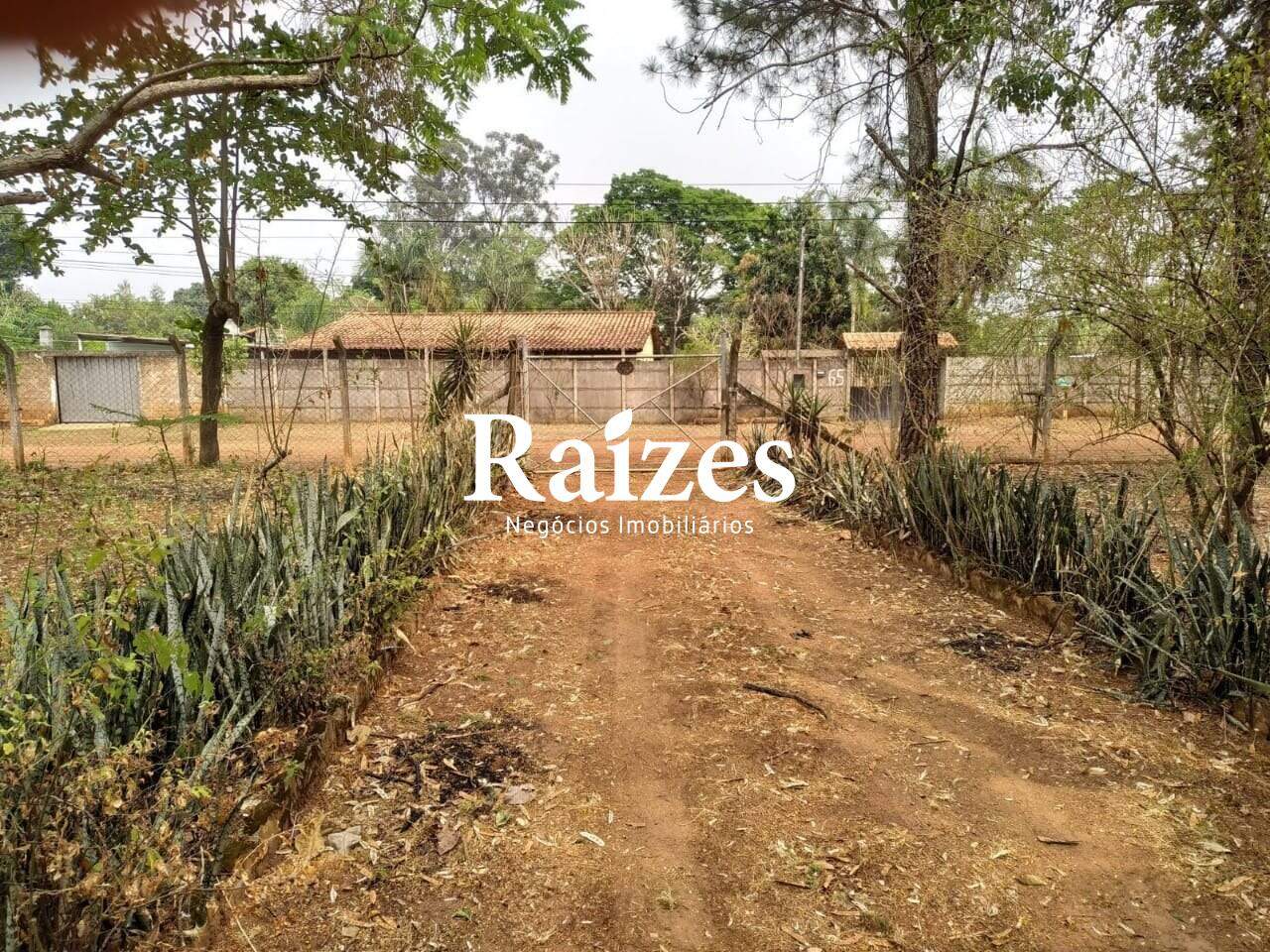 Sítio, 3 quartos - Foto 10