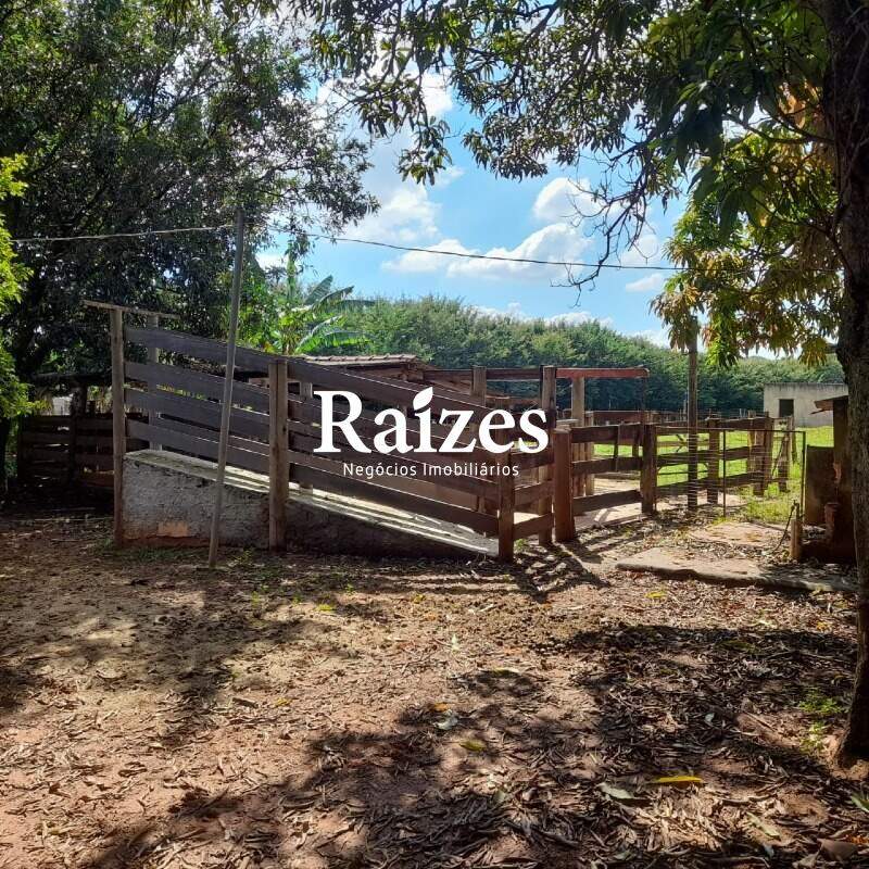Sítio, 3 quartos, 2 hectares - Foto 27