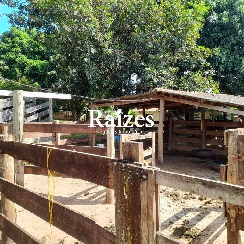 Sítio, 3 quartos, 2 hectares - Foto 30