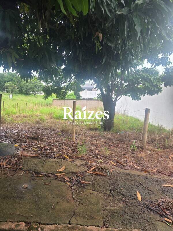 [FINALIDADE] [TIPOIMOVEL] [BAIRRO] na cidade [CIDADE]: 