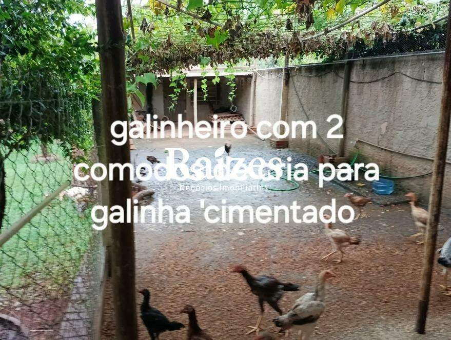 Chácara, 3 quartos - Foto 4