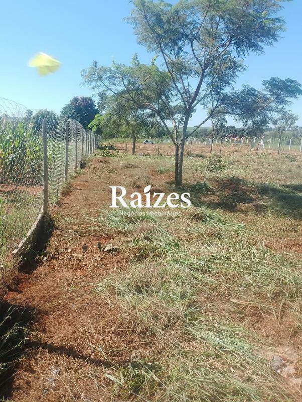 [FINALIDADE] [TIPOIMOVEL] [BAIRRO] na cidade [CIDADE]: 
