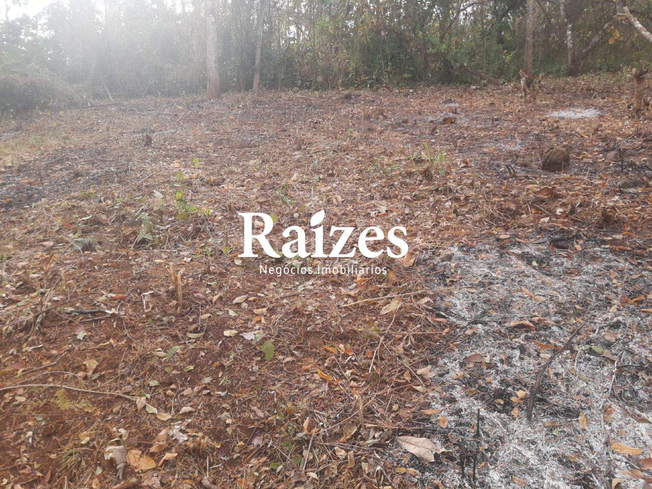 Terreno, 1050 m² - Foto 6