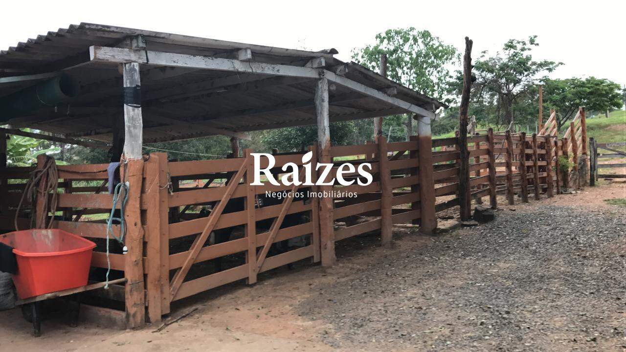 Chácara, 5 quartos - Foto 4