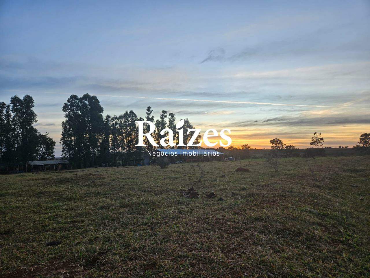 Sítio, 3 quartos, 168000 m² - Foto 1