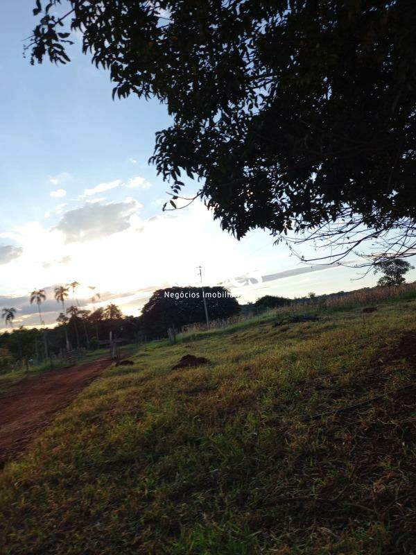 Sítio, 3 quartos, 168000 m² - Foto 13