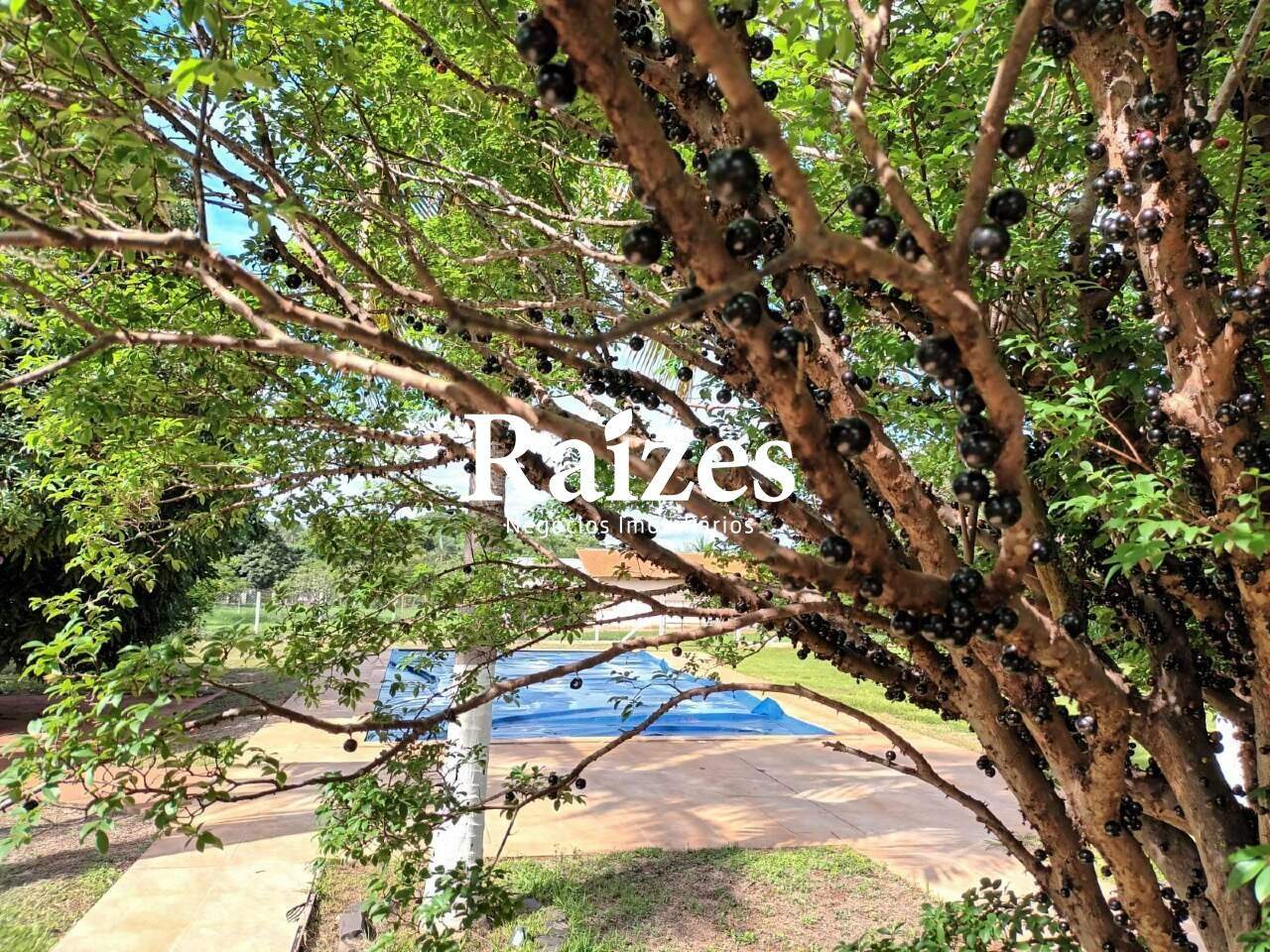 [FINALIDADE] [TIPOIMOVEL] [BAIRRO] na cidade [CIDADE]: 