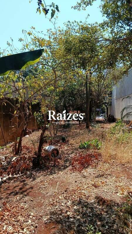 [FINALIDADE] [TIPOIMOVEL] [BAIRRO] na cidade [CIDADE]: 