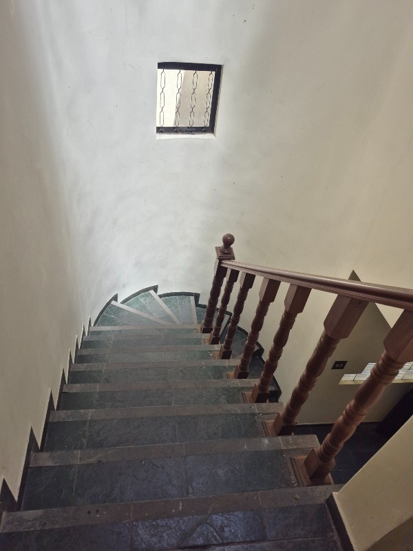 Casa, 4 quartos, 325 m² - Foto 21