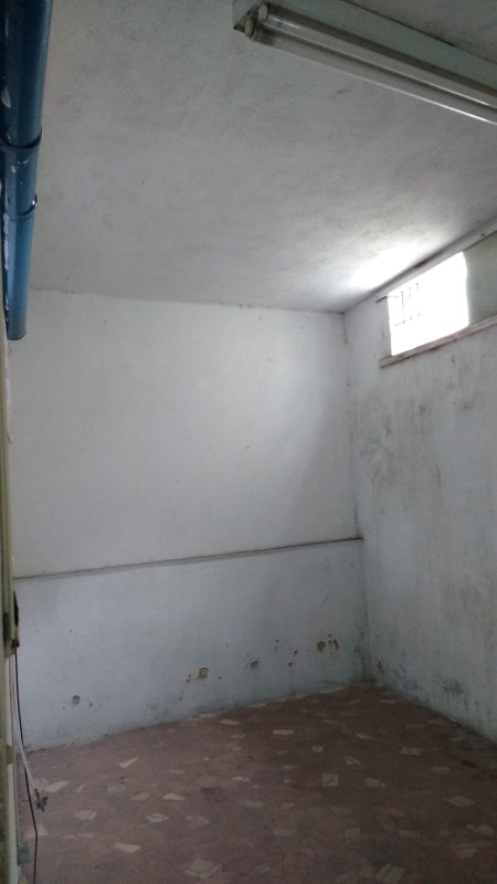 Casa, 4 quartos, 255 m² - Foto 17