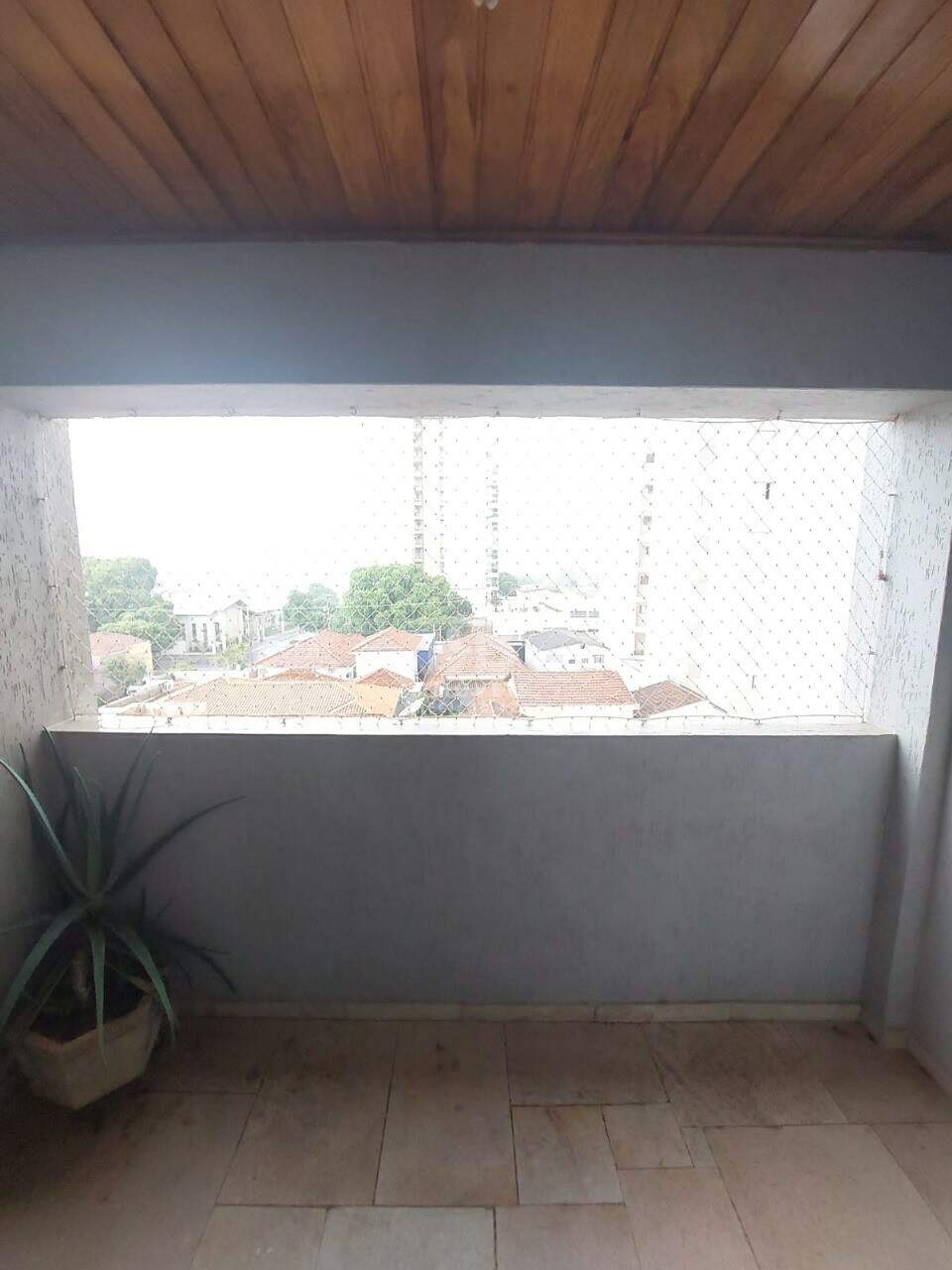 Apartamento para aluguel no Higienópolis: 