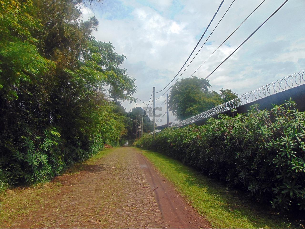 Lote-Área-Terreno para aluguel no LAGOA DO MIGUELAO: 