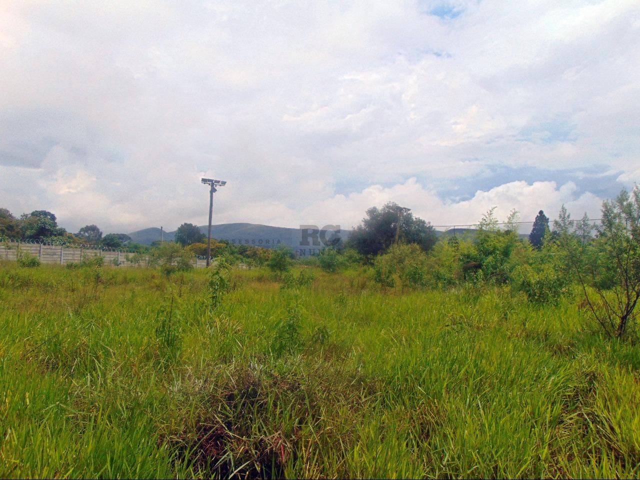 Lote-Área-Terreno para aluguel no LAGOA DO MIGUELAO: 