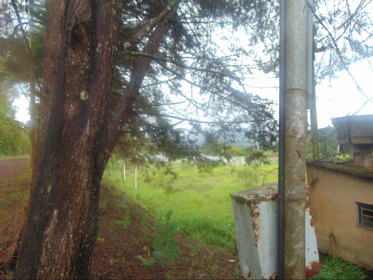 Lote-Área-Terreno para aluguel no LAGOA DO MIGUELAO: 