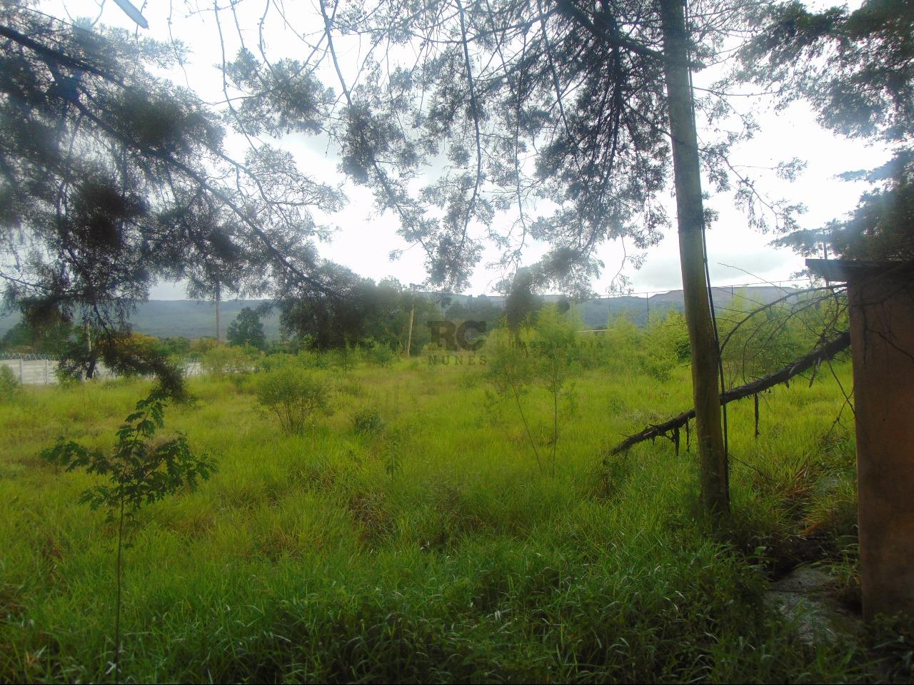 Lote-Área-Terreno para aluguel no LAGOA DO MIGUELAO: 