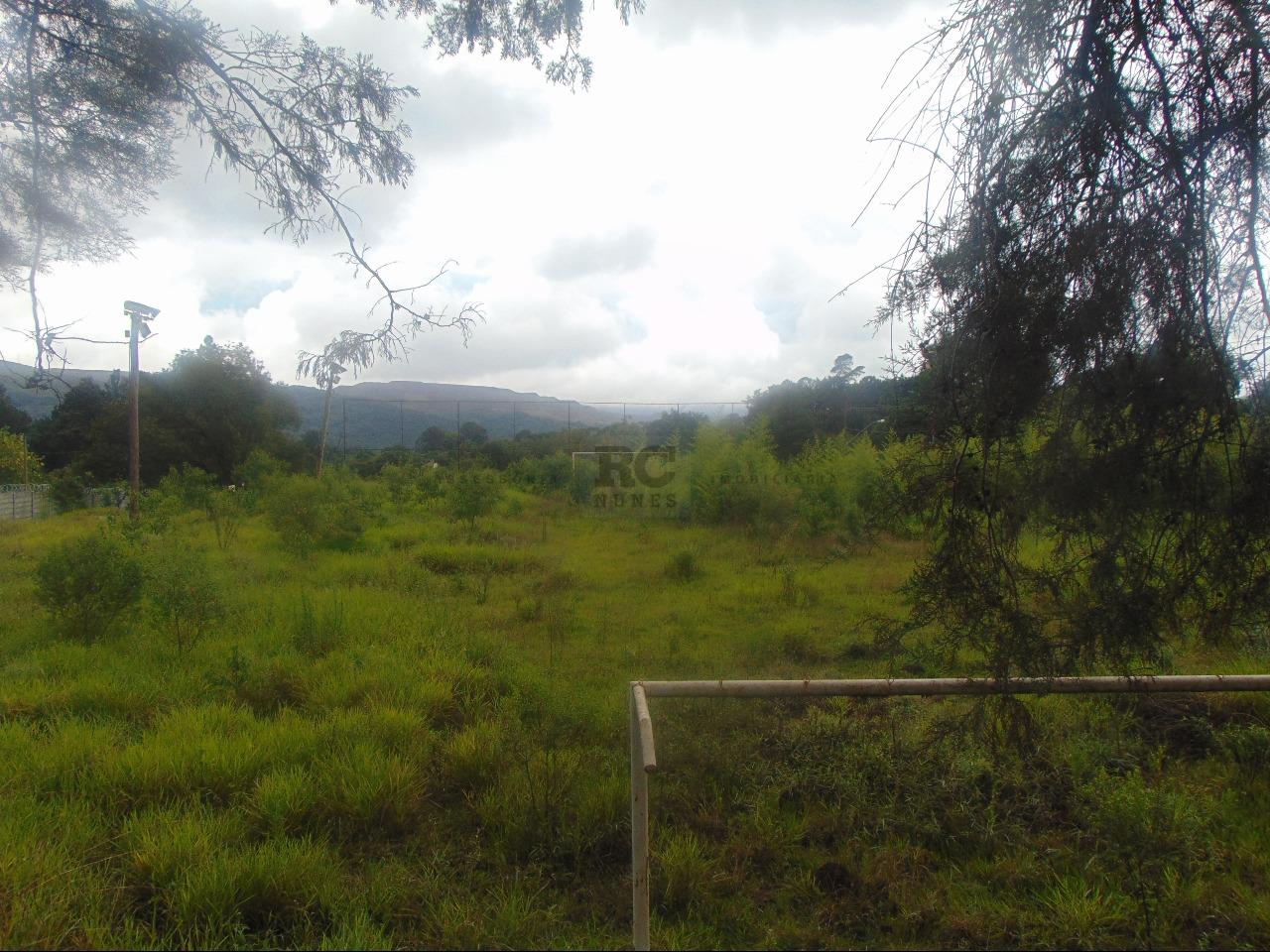 Lote-Área-Terreno para aluguel no LAGOA DO MIGUELAO: 