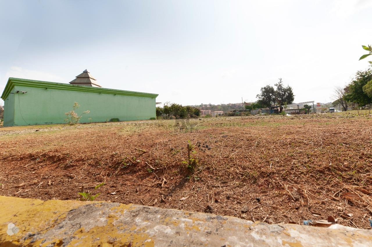 Lote-Área-Terreno para aluguel no Jardim Vitória: 