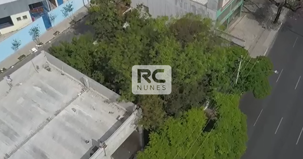 Terreno para aluguel no União: 