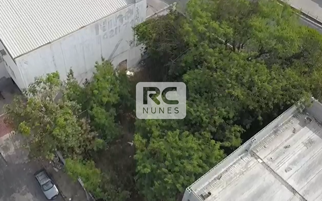 Terreno para aluguel no União: 