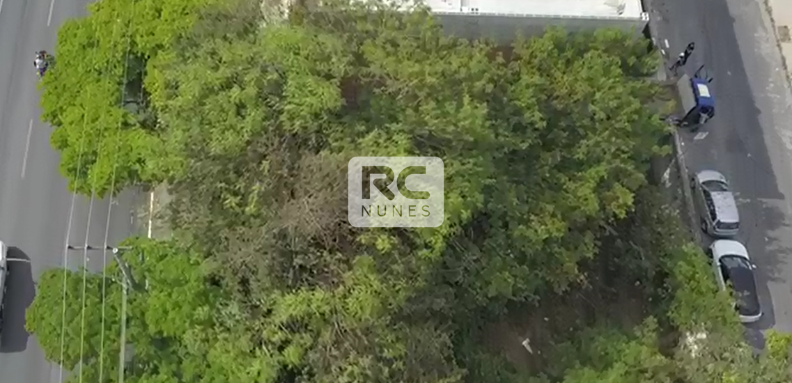 Terreno para aluguel no União: 