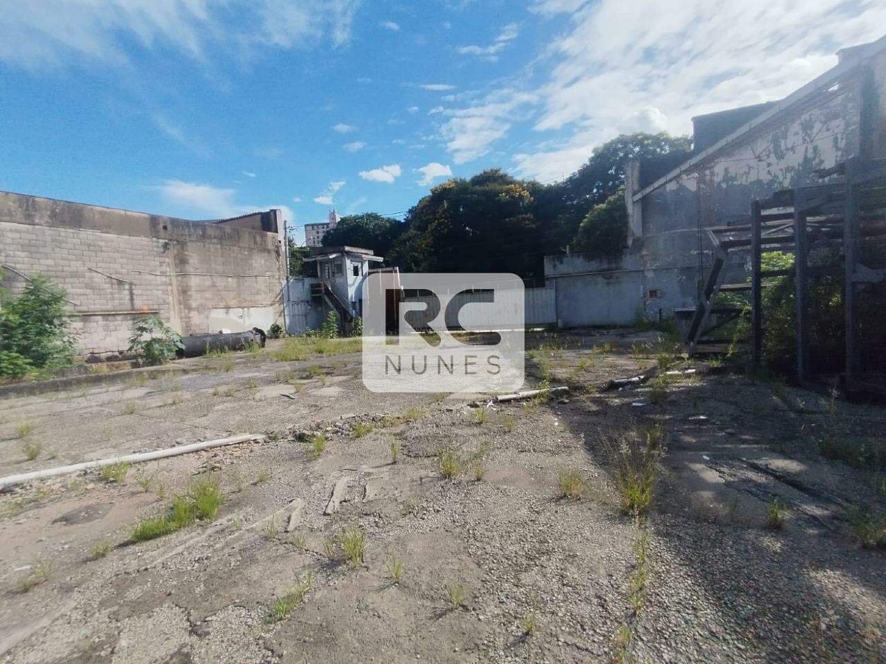 Lote-Área-Terreno para aluguel no Santa Efigênia: 