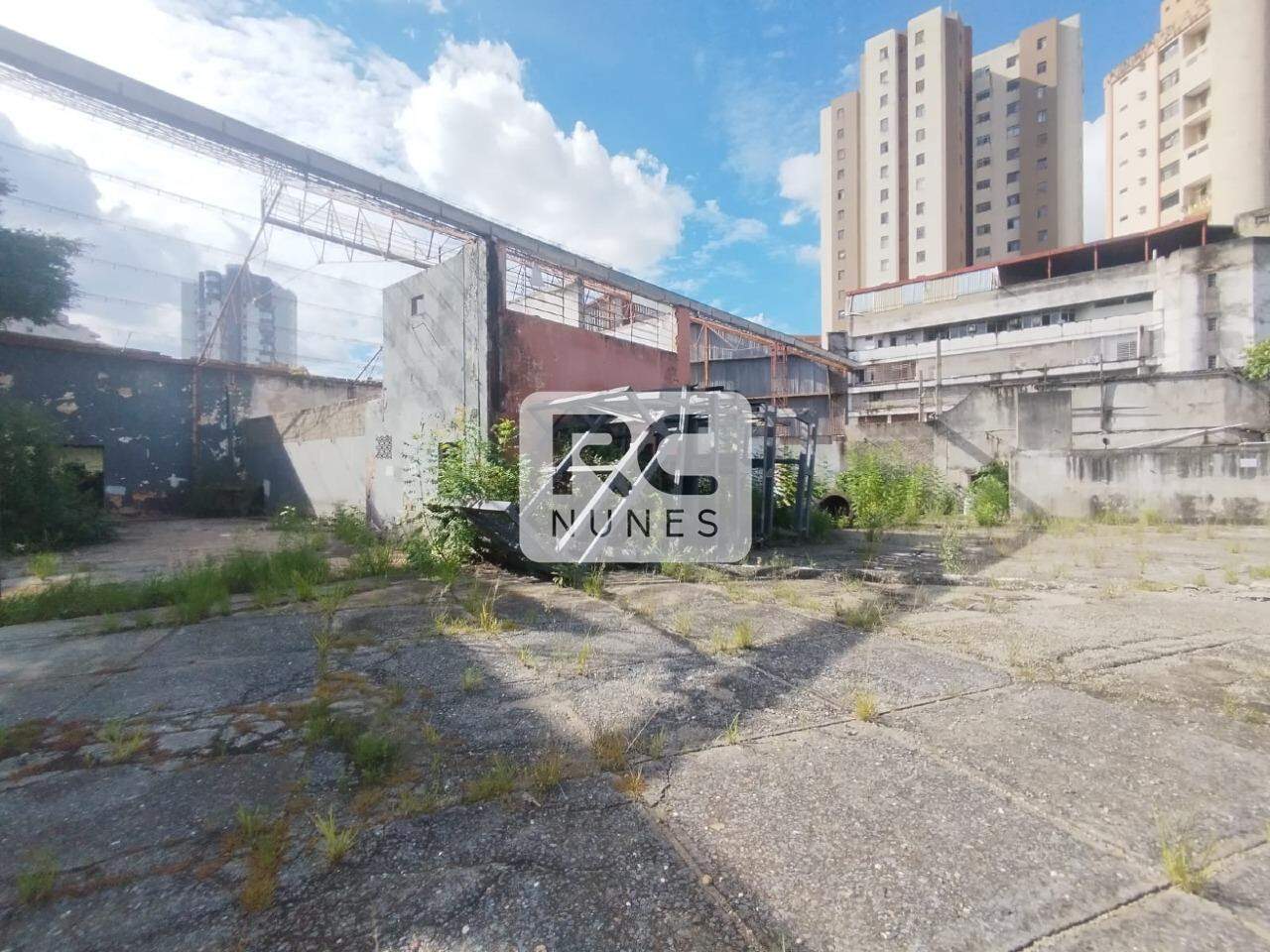Lote-Área-Terreno para aluguel no Santa Efigênia: 