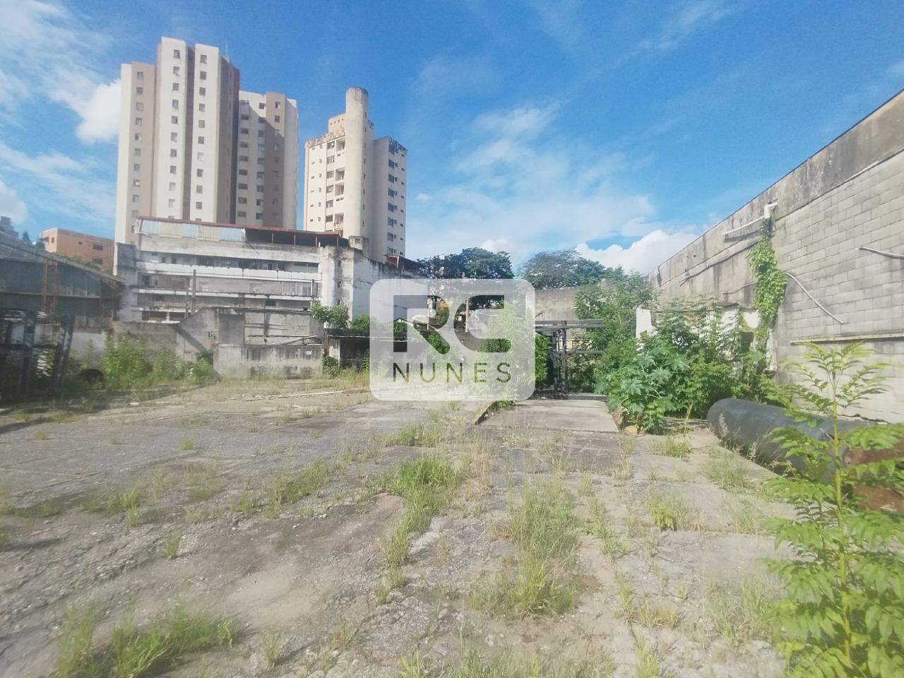 Lote-Área-Terreno para aluguel no Santa Efigênia: 
